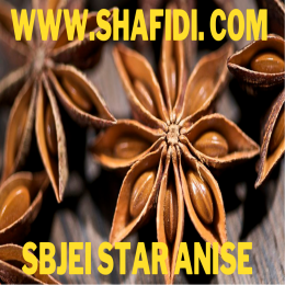 STAR ANISE